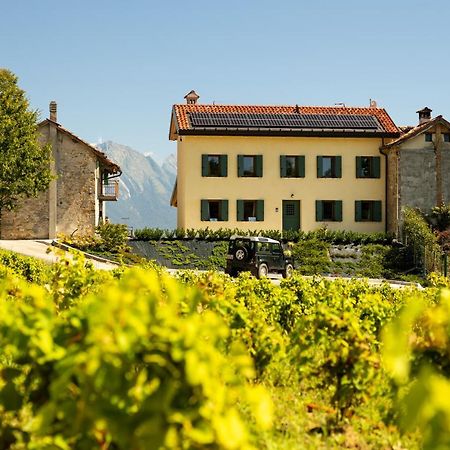 B&B Le Zucche Belluno Exterior foto